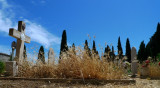 Cemetary of South Italy