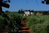 02-P1250303.JPG