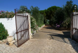 14-P1250215.JPG