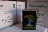 20-P1250281.JPG