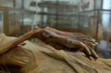 Mummies