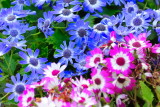 Mar 21  Spring! 