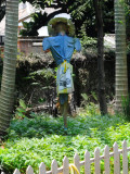 Mar 31   Taiwan Scarecrow
