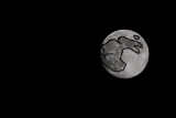 Sept 11  Rabbit in the moon 