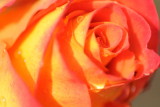 Feb 14  Happy Valentines Day!