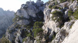 DSC02030.JPG