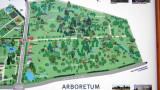 Plan de larboretum de Vincennes