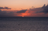 March 9 2011 morning 047.jpg