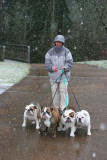 Daisy, Bono, Angus & Lily