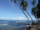 Bocas del Toro