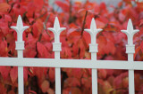 Hudson NY fence