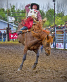 Saddle Bronc