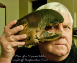 Lobster Claw