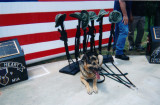 Ft. Benning GA War Dog Dedication-6