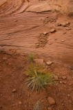 MonumentValley-017.jpg