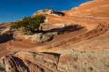 WhitePocket-025.jpg