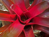 6-12-2011 Botanical Garden 5.jpg