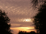 3-15-2012 Sunset 3.jpg