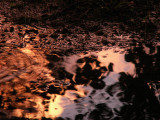 5-11-2012 Thunderstorm Reflection 5.jpg