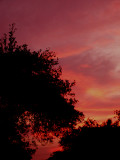 8-10-2012 Sunset 2.jpg
