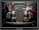 Packard 1937 Black Sedan DD G.jpg