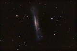NGC3628