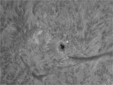 4.6.2011 AR 11228