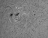 AR 11302 1.10.2011