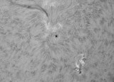 AR 11469