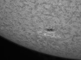 AR 11486