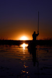 Sunset in the Okavango river...