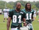 Eagles_Training_Camp_080312_058.JPG