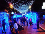 Zona Rosa Christmas at Night (1).jpg