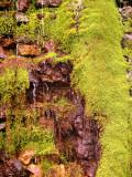 Green Waterfall.jpg