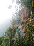 Monserrate Mountain Side (1).jpg