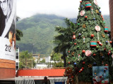 El Avila from San Ignacio.jpg