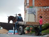 Horse, Cart, and Fridge.jpg
