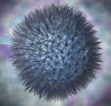 Fuzzy Thingy