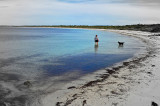 A Good Beach is an Empty Beach