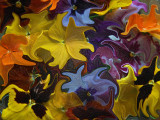 Floating Flowers in Aspic - Colour