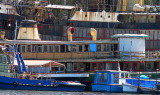A Shoal of Ships