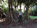 Judy next to Walking Palm trees: Walking Palms slowly walk toward sunlight by growing new roots - old roots die.