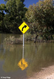 9248- Kinchega under water