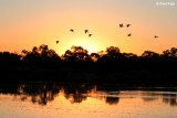8331- Kulcurna sunrise