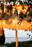 8344- yes, it is a parking meter