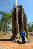 2864-termite-mound.jpg