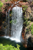 6957-florence falls.jpg