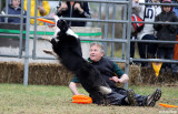 7450-frisbee-dog.jpg