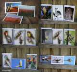 Australian Wildlife and scenery cards for sale LIMITED STOCK