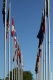 0011-flags.jpg